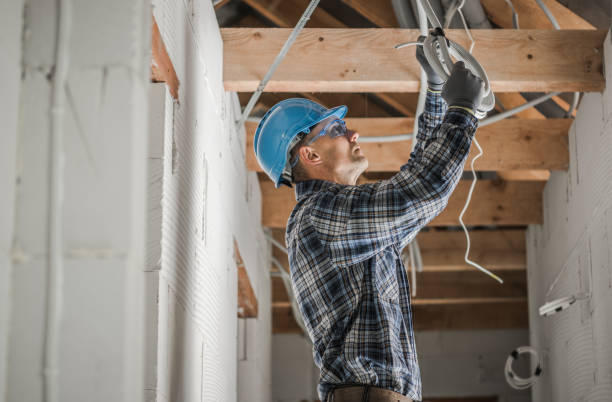 Best Electrical Troubleshooting Services  in Princeton, IL