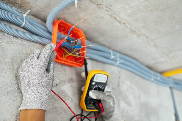 Best Electric Panel Repair  in Princeton, IL